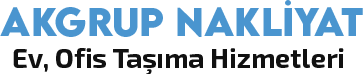 logo-son
